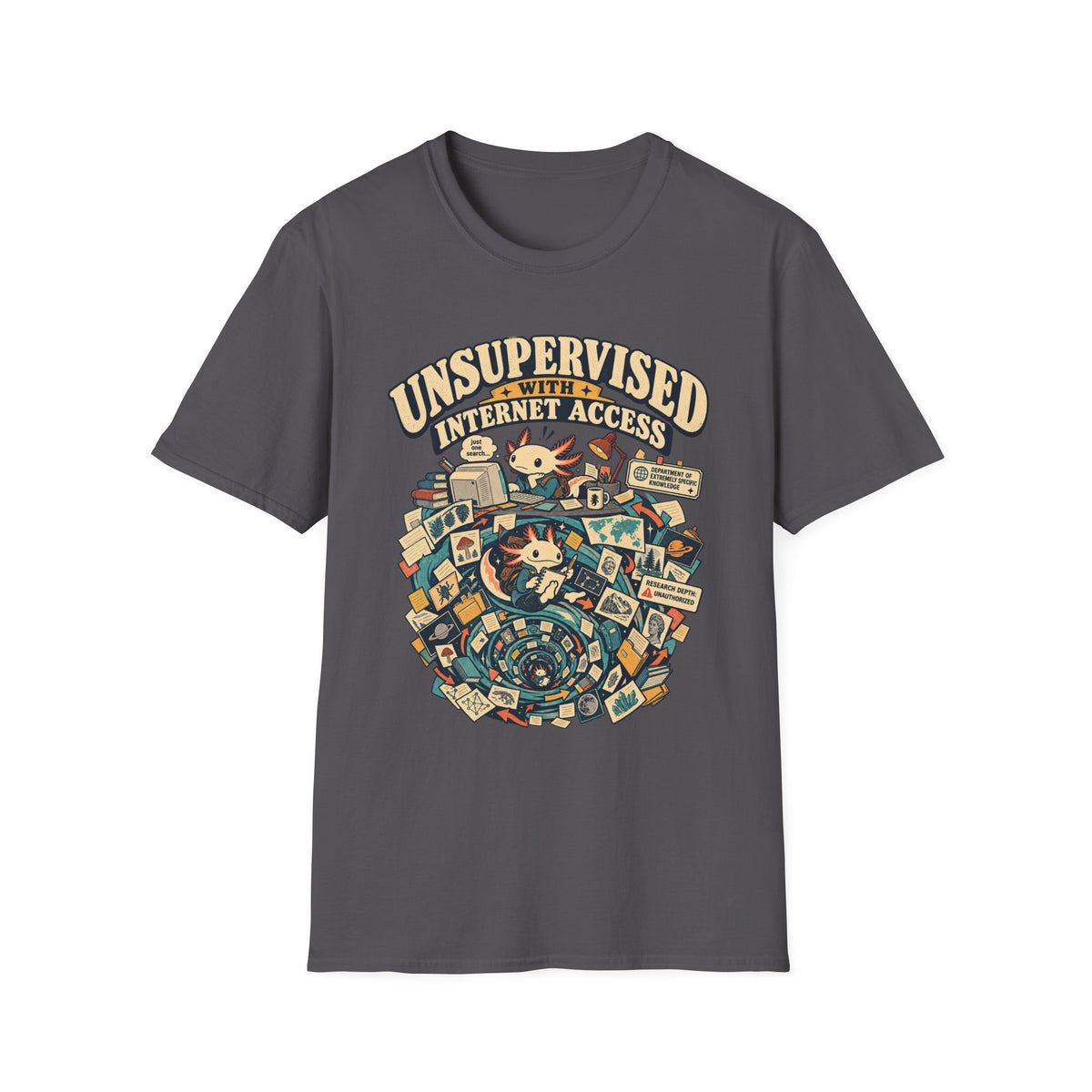 UNSUPERVISED WITH INTERNET ACCESS